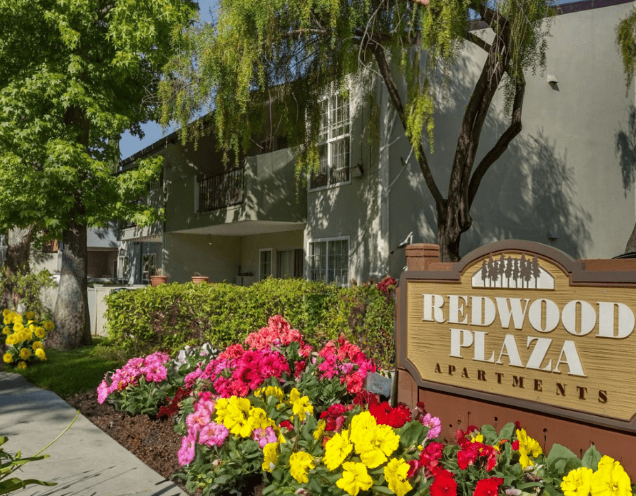 Redwood Plaza Apartments photo 5
